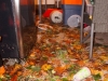 Lots of leaves washed in.